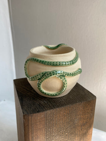 Small Jade Snake Pot